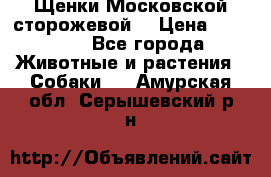 Щенки Московской сторожевой  › Цена ­ 25 000 - Все города Животные и растения » Собаки   . Амурская обл.,Серышевский р-н